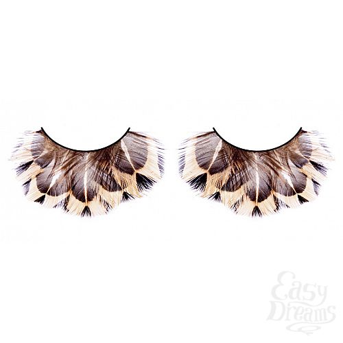 ���������� 1:  ������� ������-����������  �����