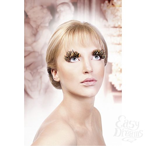 ���������� 2  ������� ������-����������  �����