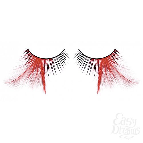 ���������� 1:  ������� ������-�������  �����