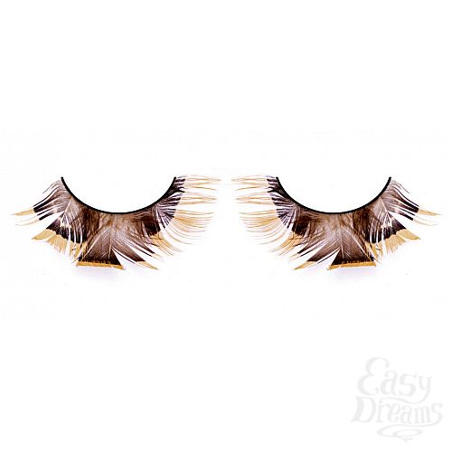 ���������� 1:  ������� ����������  �����