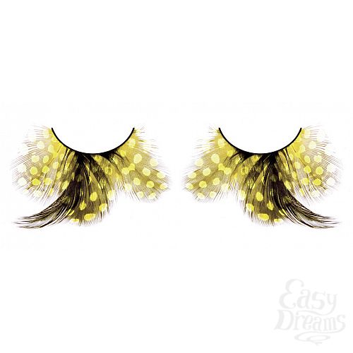 ���������� 1:  ������� �����  �����