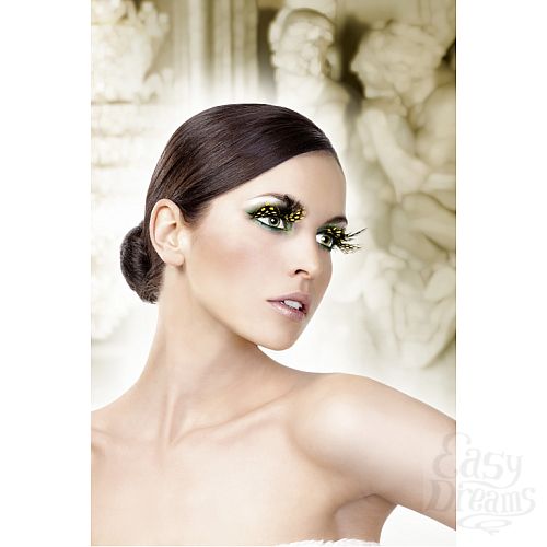 ���������� 2  ������� �����  �����