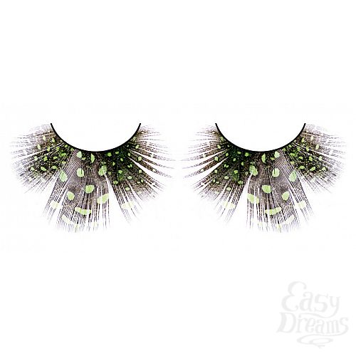 ���������� 1:  ������� ������-������  �����