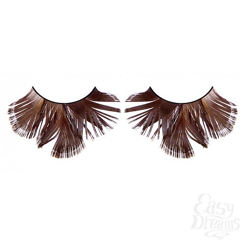 ���������� 1:  ������� ����������  �����