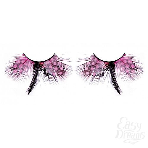 ���������� 1:  ������� �������  �����