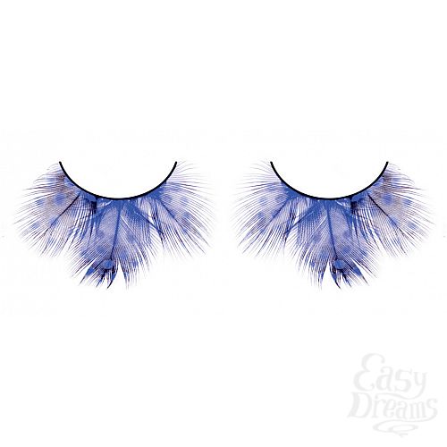 ���������� 1:  ������� �������  �����