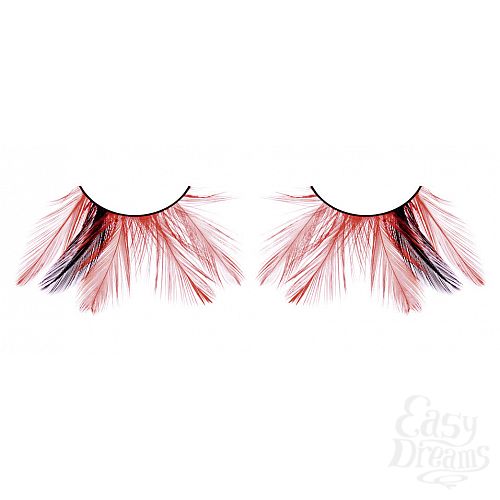 ���������� 1:  ������� ������-�������  �����