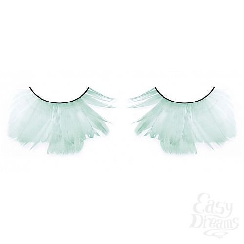 ���������� 1:  ������� ���������  �����