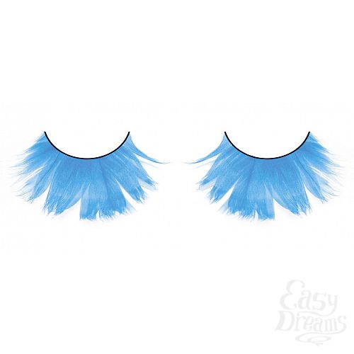 ���������� 1:  ������� ������-�������  �����