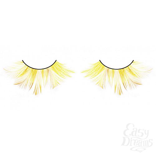 ���������� 1:  ������� �����  �����