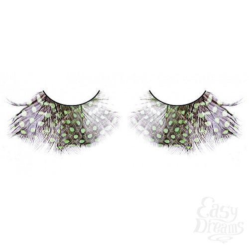 ���������� 1:  ������� ���������-�����-����������  �����