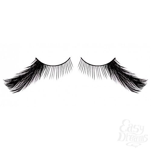 ���������� 1:  ������� ������  �����