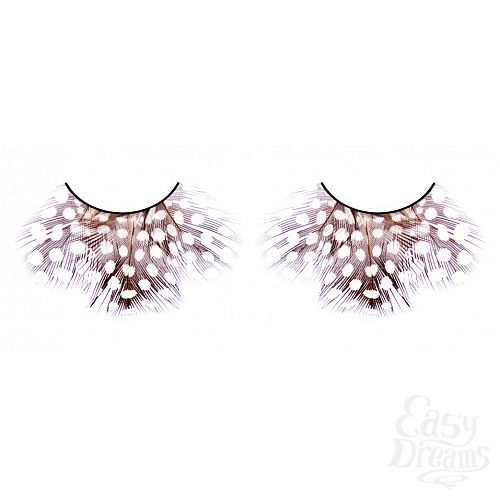 ���������� 1:  ������� ����-����������  �����