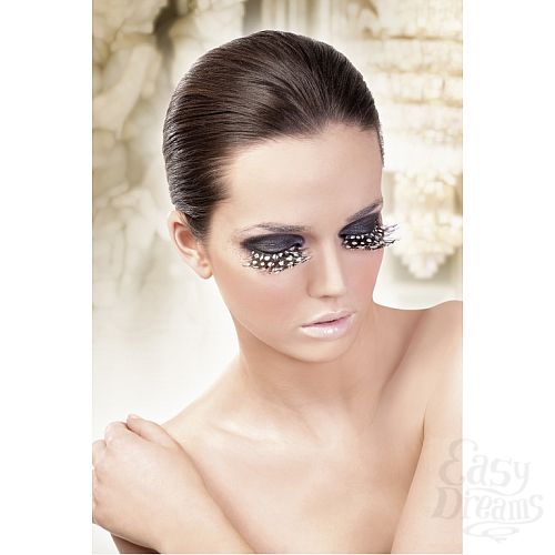 ���������� 2  ������� ����-����������  �����