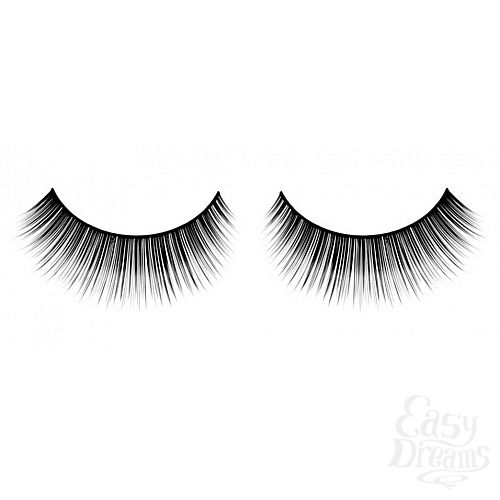 ���������� 1:  ������� ������ ��������� Premium