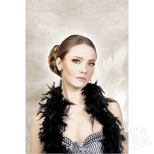 ���������� 2  ������� ������ ��������� Premium