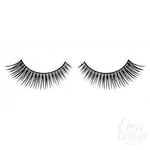 ���������� 1:  ������� ������ ��������� Premium