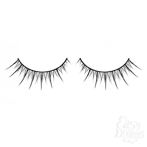 ���������� 1:  ������� ������ ��������� Premium