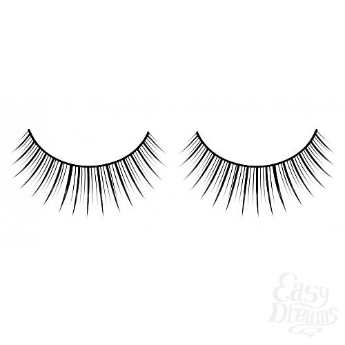 ���������� 1:  ������� ������ ��������� Premium