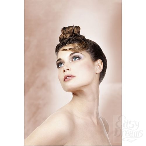 ���������� 2  ������� ������ ��������� Premium