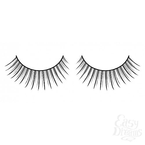 ���������� 1:  ������� ������ ��������� Premium