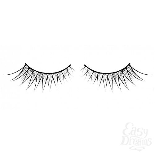 ���������� 1:  ������� ������ ��������� Premium