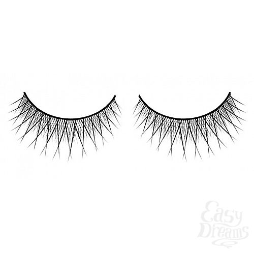 ���������� 1:  ������� ������ ��������� Premium