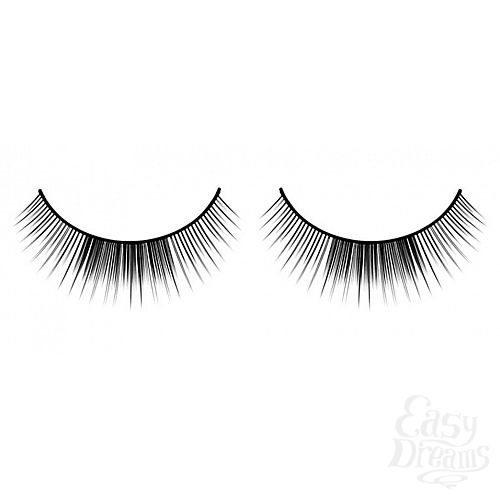 ���������� 1:  ������� ������ ��������� Premium