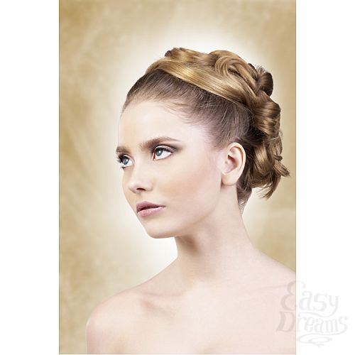 ���������� 2  ������� ������ ��������� Premium