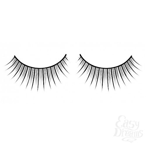 ���������� 1:  ������� ������ ��������� Premium