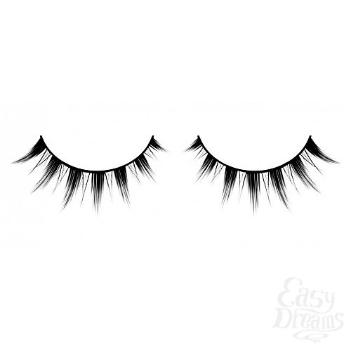 ���������� 1:  ������� ������ ��������� Premium