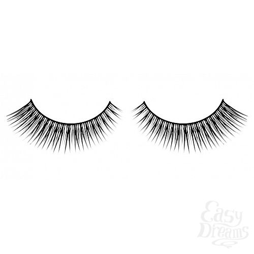 ���������� 1:  ������� ������ ��������� Premium