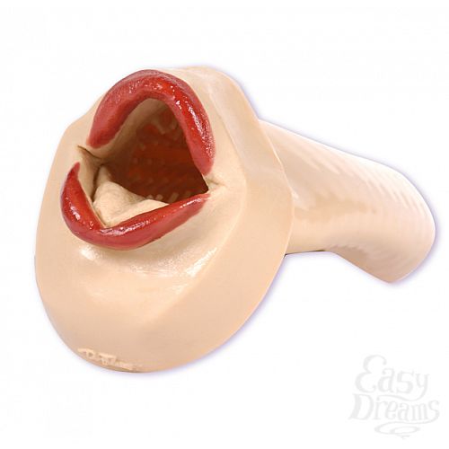 ���������� 1:  �����-����������� CARRY