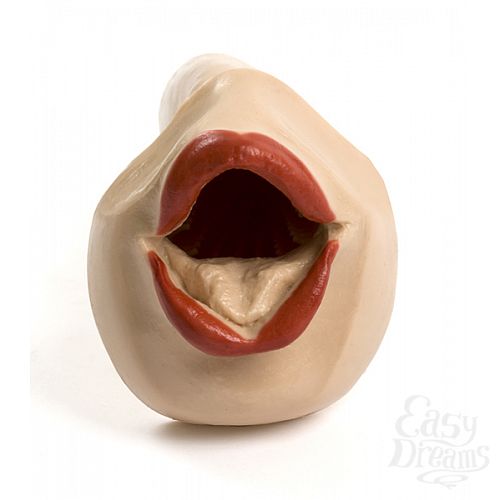 ���������� 3  �����-����������� CARRY