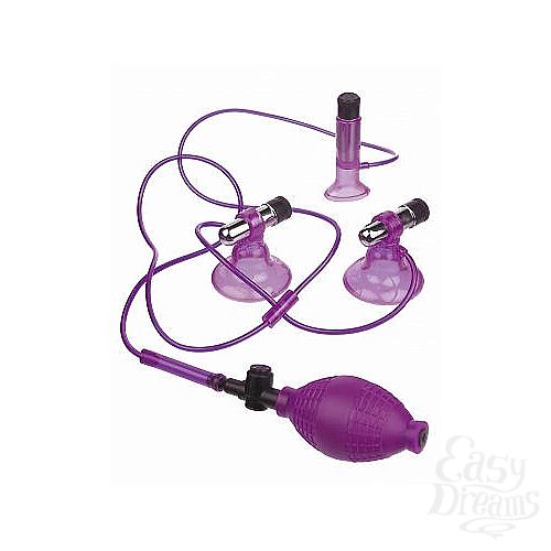 ���������� 2  �������������-����� ��� ���������� ������ ����� � �������