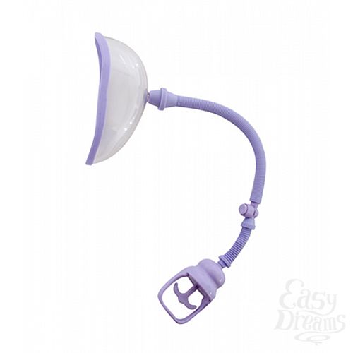 ���������� 1:  ����� ������� �������