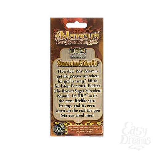 ���������� 2  �������� ����-�����