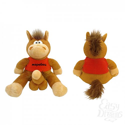 ���������� 1:  ������� ���� FlOn-2403