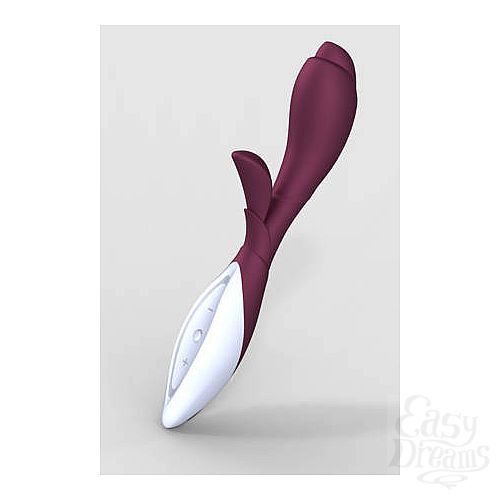 ���������� 2  �������� ���-��� ZINI ZOOK �������� � �����