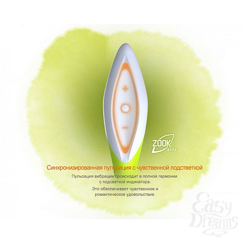 ���������� 4  �������� ���-��� ZINI ZOOK �������� � �����