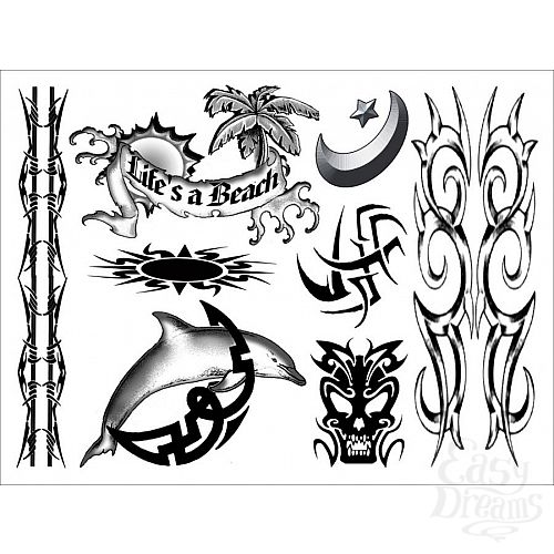 ���������� 3  ����� ���� For Guys 24 �� E21253