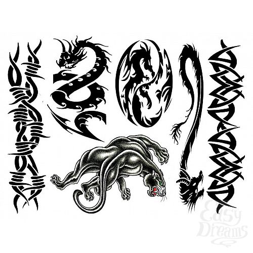 ���������� 4  ����� ���� For Guys 24 �� E21253