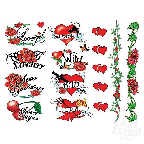 ���������� 3  ����� ���� Naughty Bachelorette 40 �� E21252