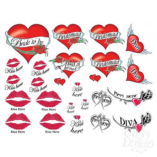 ���������� 4  ����� ���� Naughty Bachelorette 40 �� E21252