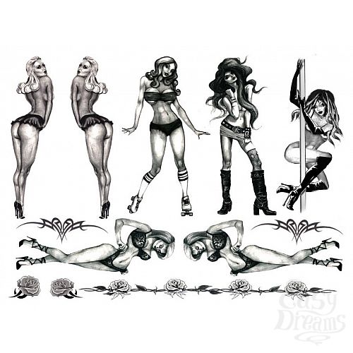 ���������� 2  ����� ���� Naughty Pin-Up 35 �� E21255