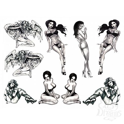 ���������� 3  ����� ���� Naughty Pin-Up 35 �� E21255