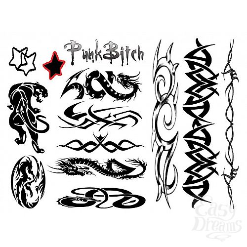 ���������� 2  ����� ���� Punk Bitch 40 �� E21256