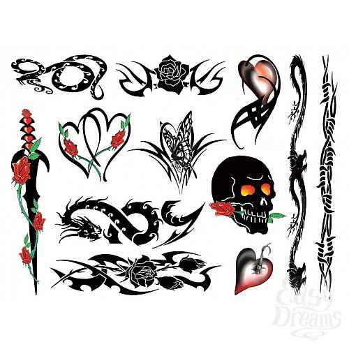 ���������� 3  ����� ���� Punk Bitch 40 �� E21256