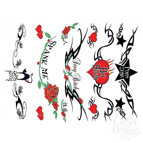 ���������� 3  ����� ���� Sexy Lower Back 40 �� E21259