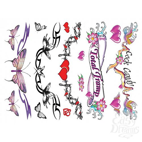 ���������� 4  ����� ���� Sexy Lower Back 40 �� E21259